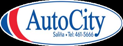 Auto City